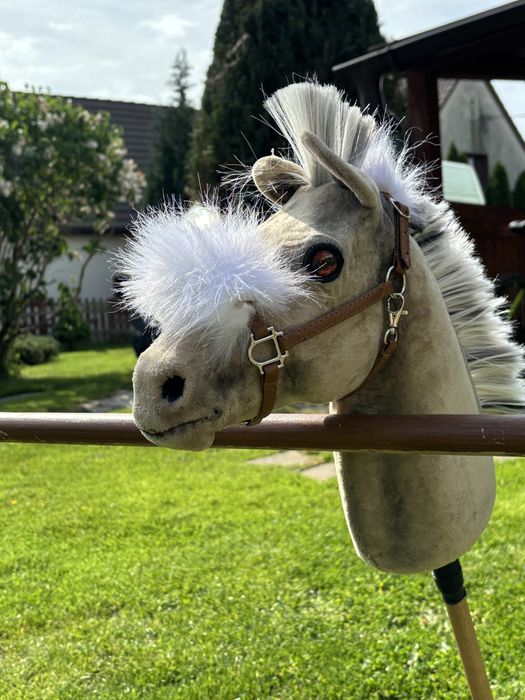 Hobby horse realistic