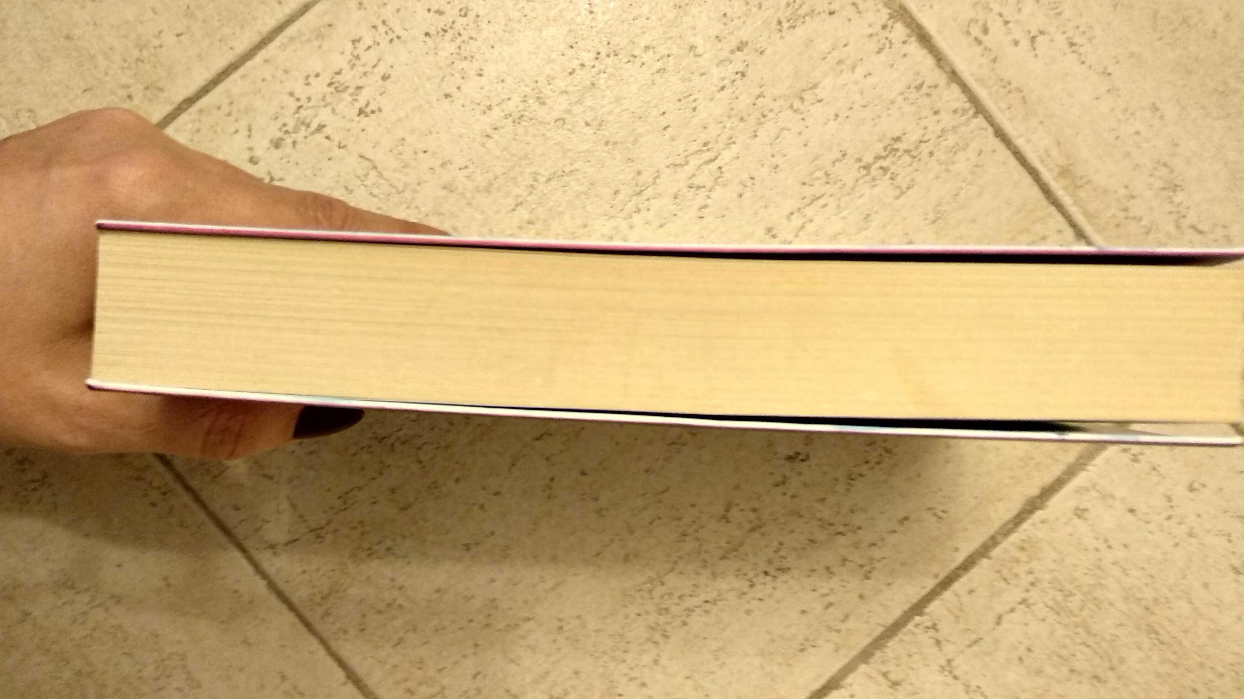 Livro "Pedaços de Ternura" da Dorothy Koomson