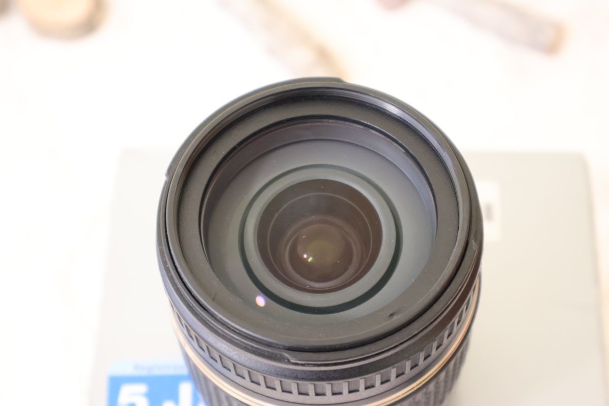 Tamron 18-270 mm F/3.5-6.3 (NiKON AF)
