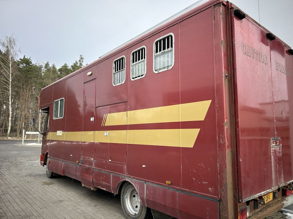 Kamper koniowoz  Iveco 2w1