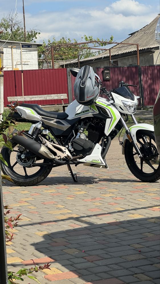 Geon pantera 250