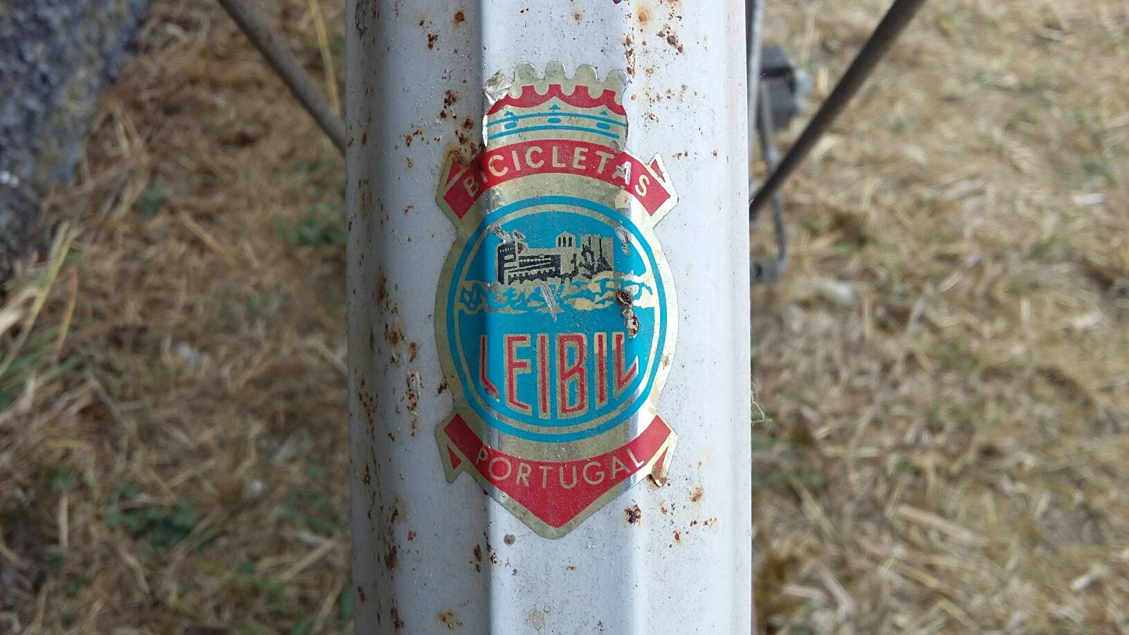 Bicicleta Leibil vintage