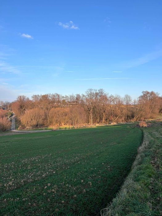 Do sprzedania Działka rolno zagrodowa w Zdzięsławicach