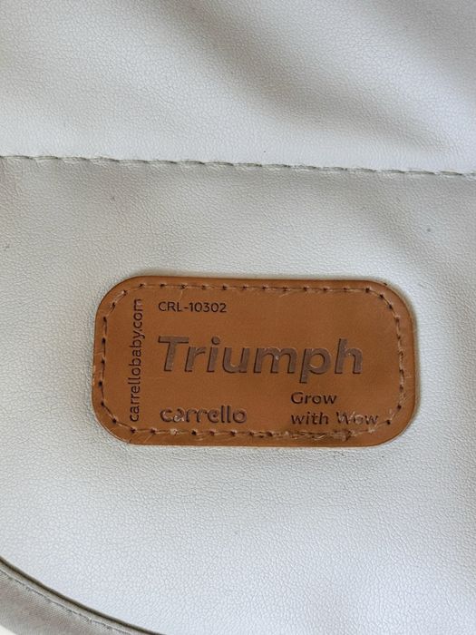 Стільчик-гойдалка Carrello Triumph