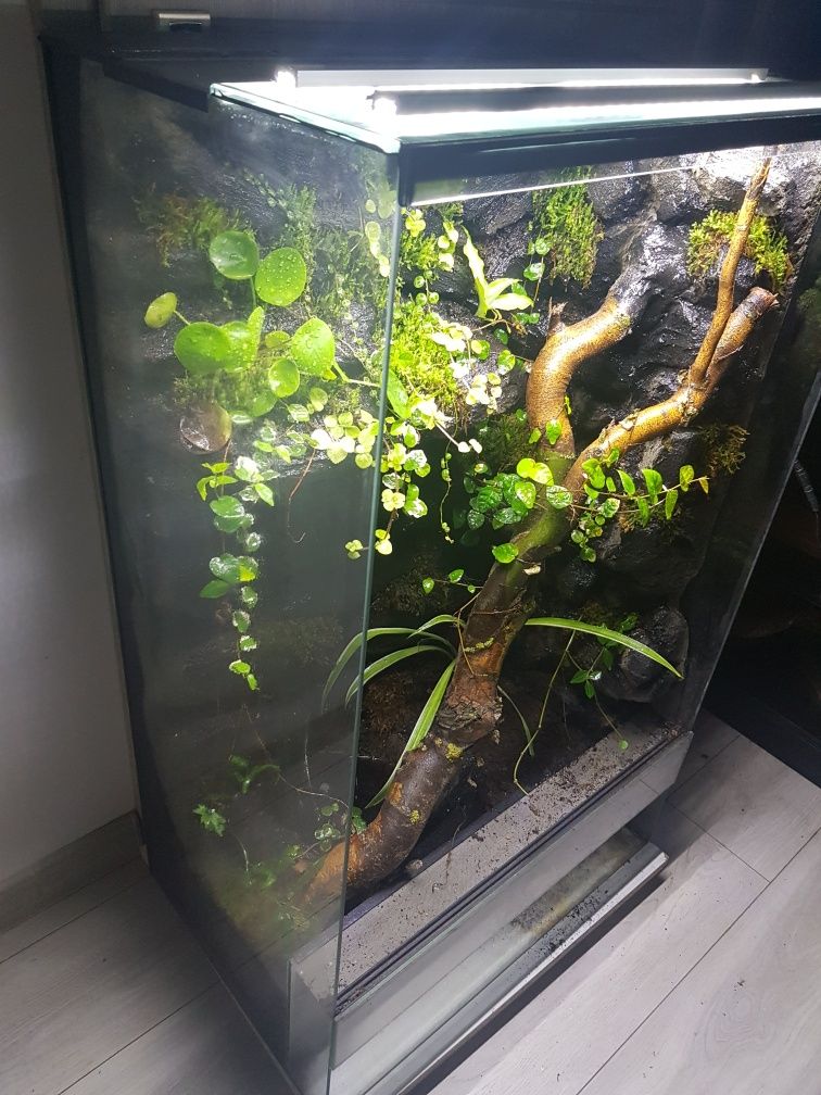 Terrarium 60x40x100