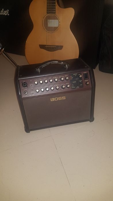 Boss acoustic singer live