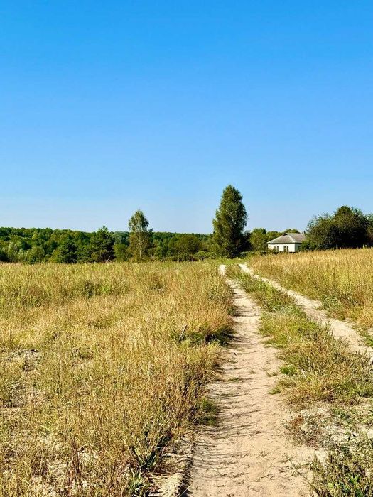 Земельна ділянка біля ЛІСУ! с. Рижики, Хмільницька с.р A11