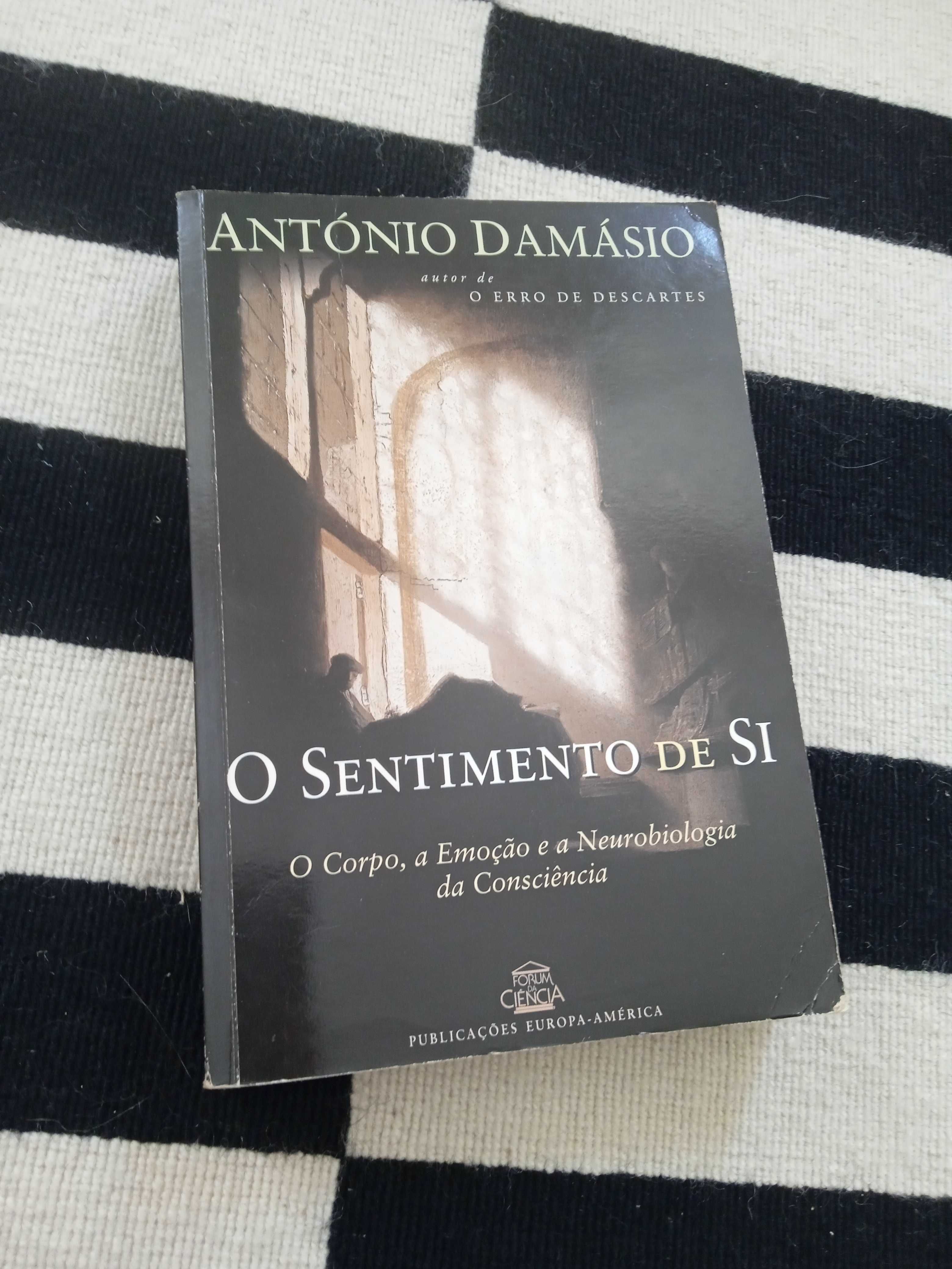 O Sentimento de Si
de António Damásio