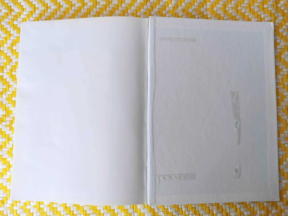 Curso de OBSTETRÍCIA 

Mário Luiz Mendes