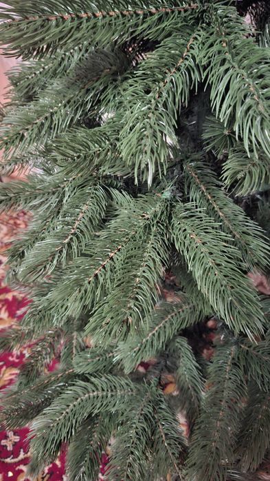 Ялинка лита, 150 см, бу