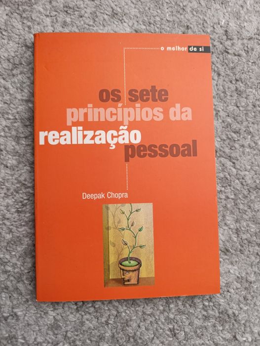 Os Sete Princípios da Realização Pessoal (portes incluídos)