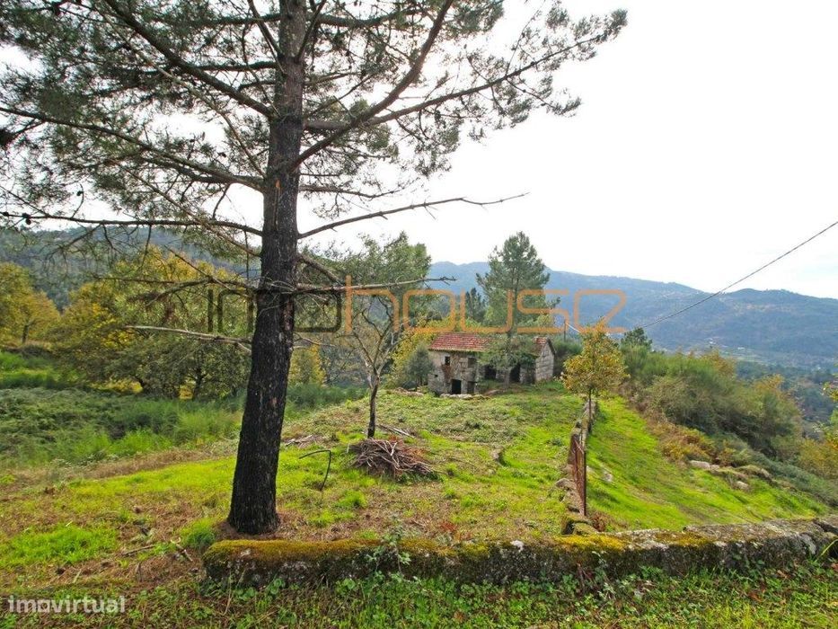 Quinta isolada - Amarante