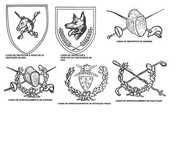 Procuro gnr crachas insignias militar exercito