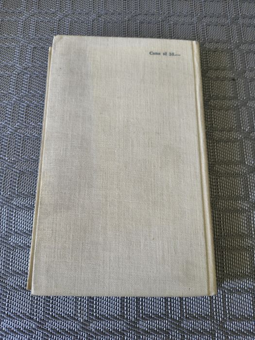 304. Książką puszkin Eugeniusz oniegin