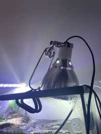 Candeeiro para aquários com lâmpada