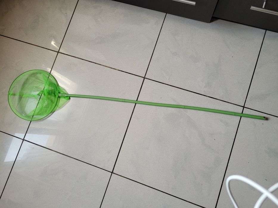 siatka na ryby rybki