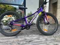 Rower Specialized RipRock 24