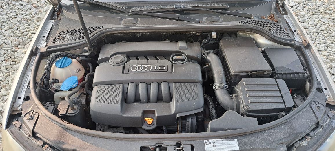 Audi A3 1.6 Mpi 102km 2003rok w całości lub na części