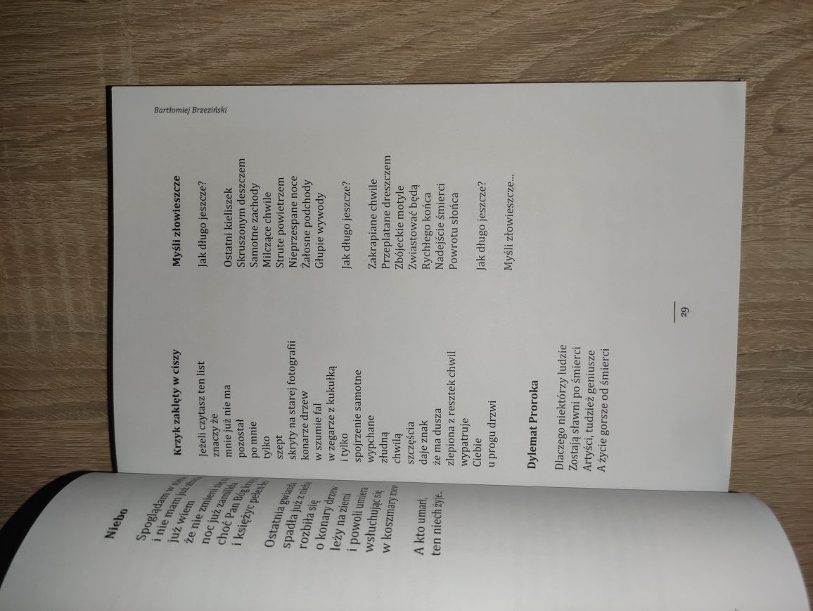 Książka poezja wiersze/ Banici poezji