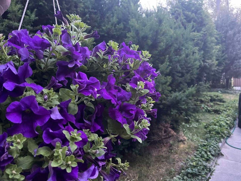 Хостел в Варшава Район Bemowo Speak UA RU PL  Pokoje Hostel Warszawa