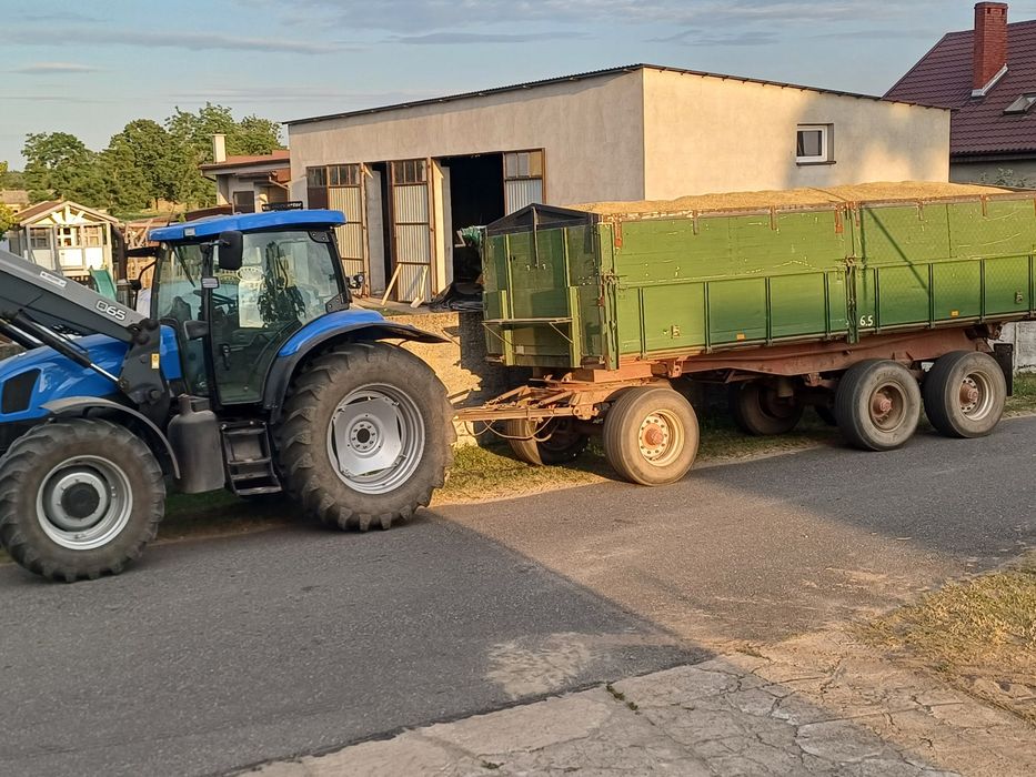 Jęczmień zimowy Jakubus