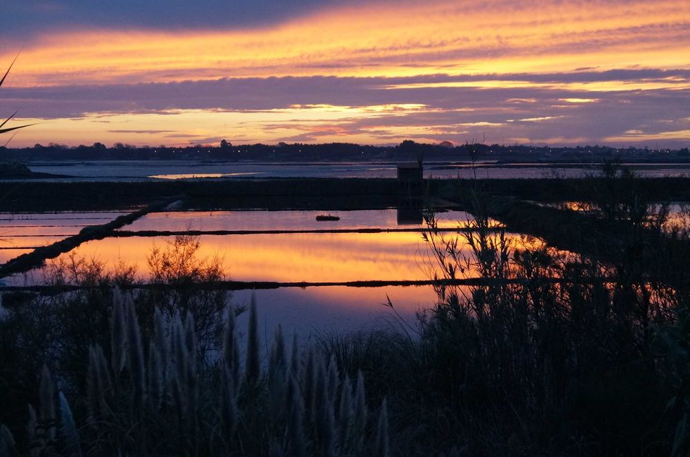 T1 moderno, luminoso e com vista ria a 50 m da Universidade de Aveiro