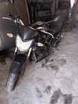 Sym wolf SB 125Ni