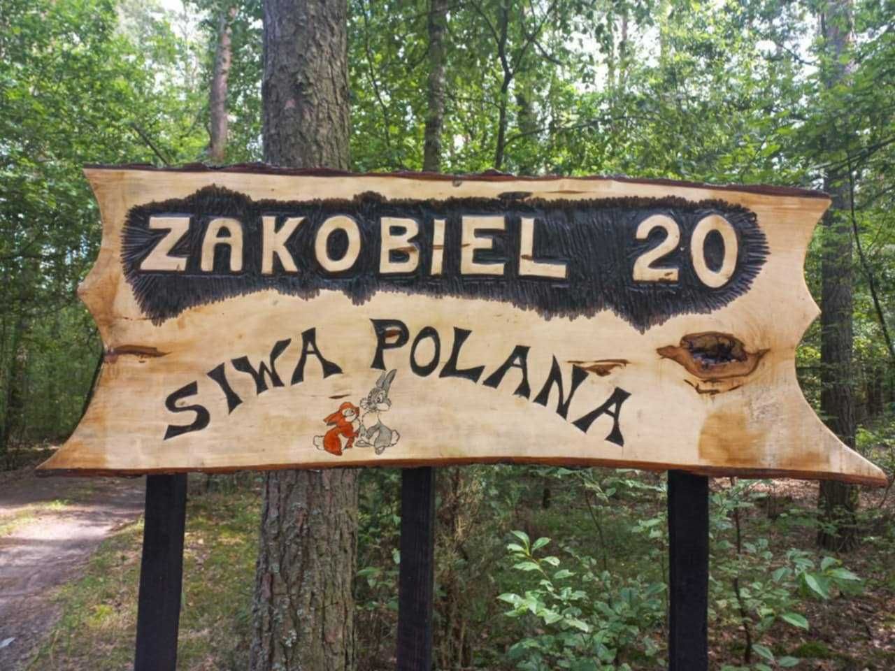 Dom w cichej okolicy
