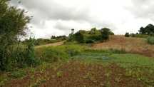 Terreno 3.515 m2