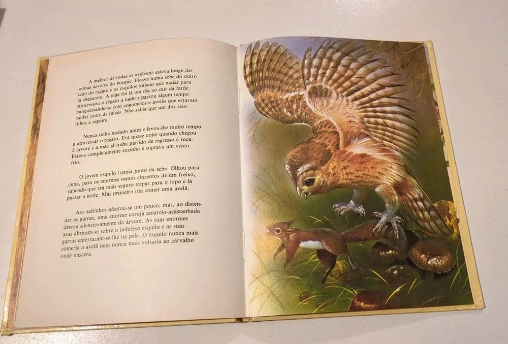 O esquilo, Colecção Vida Animal