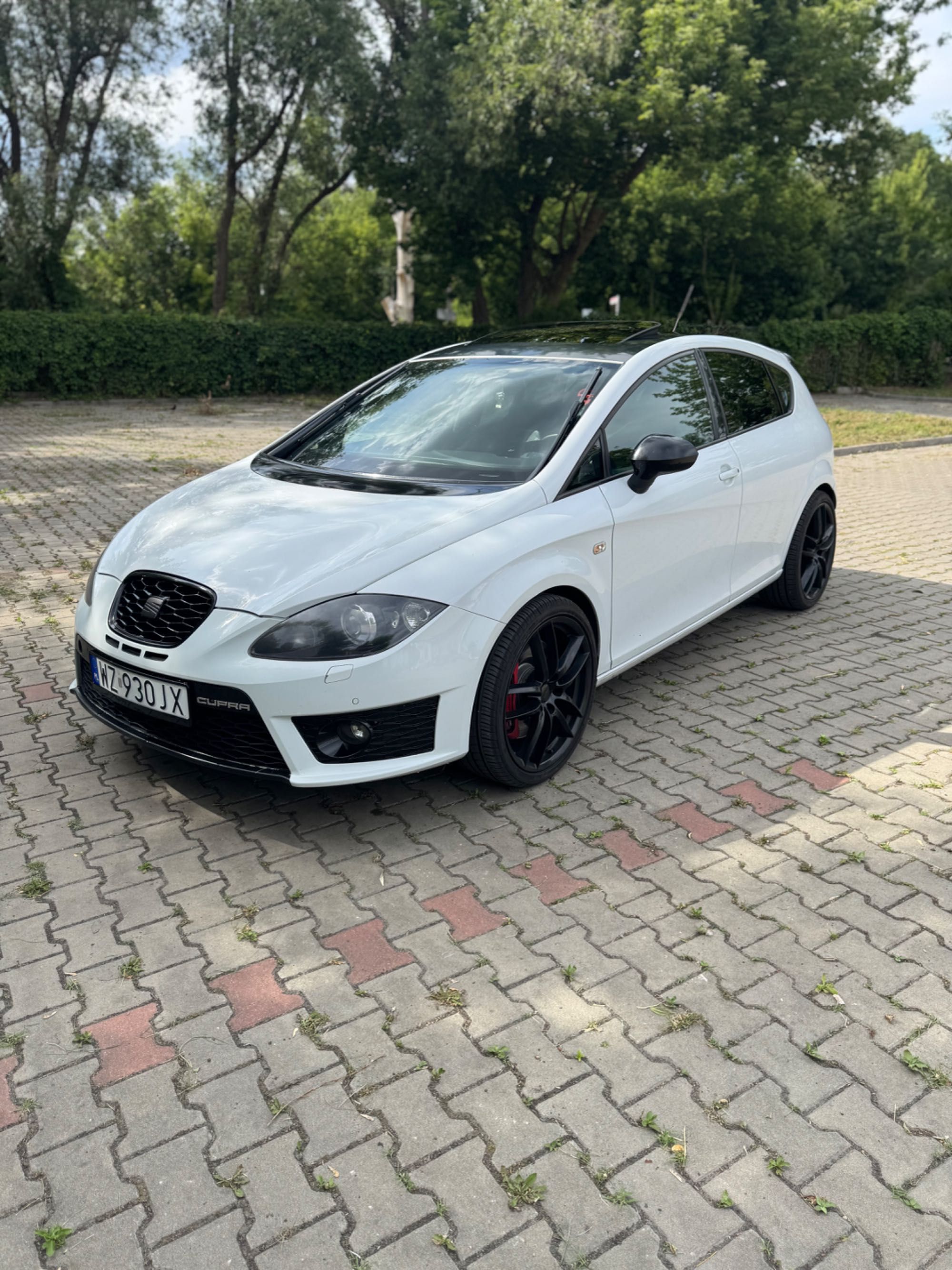 Seat Leon Cupra R 310km/460nm