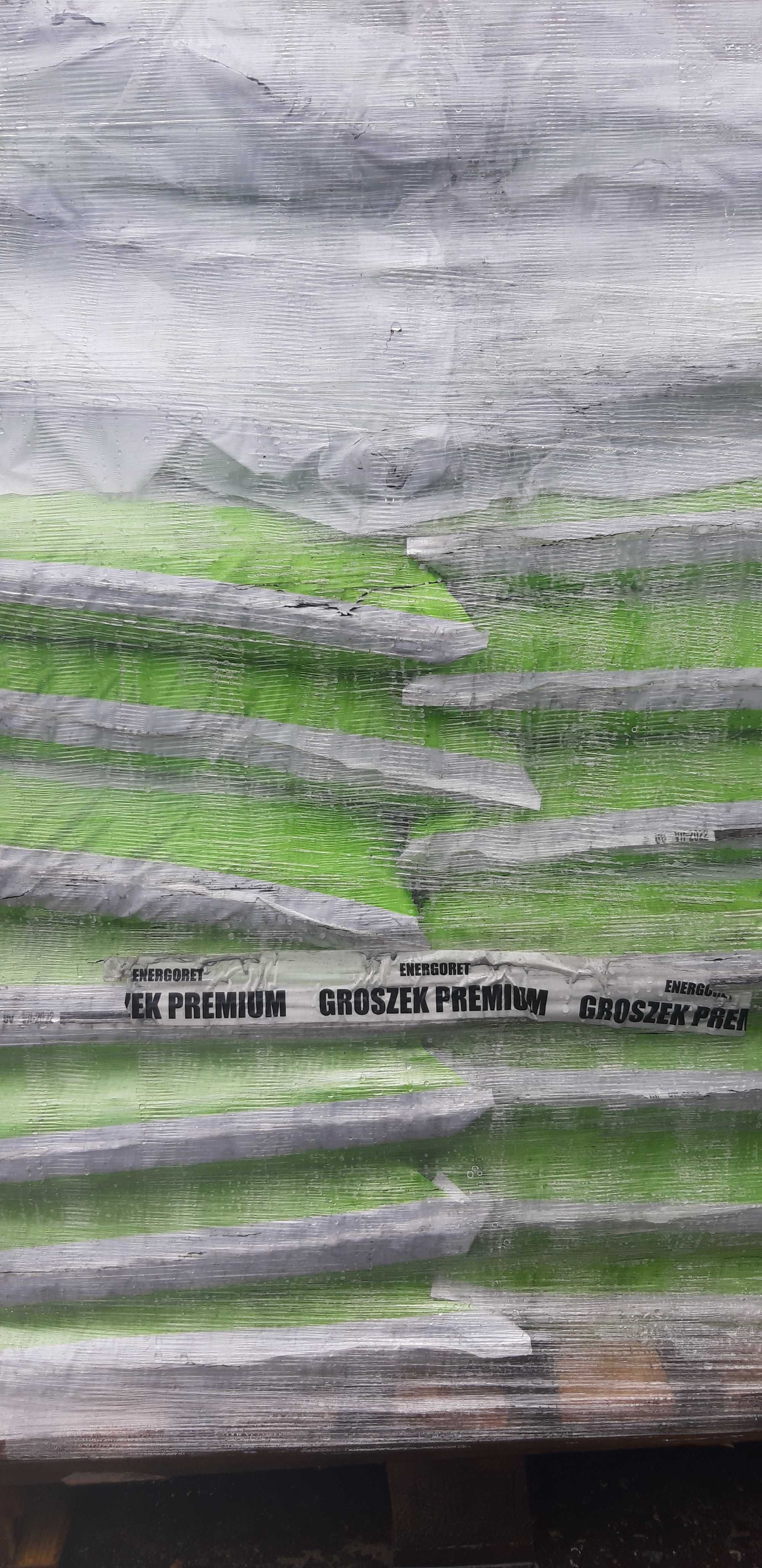 Ekogroszek Premium   LEW -Pantera  29-27 Ml/kg  Promocja wiosenna