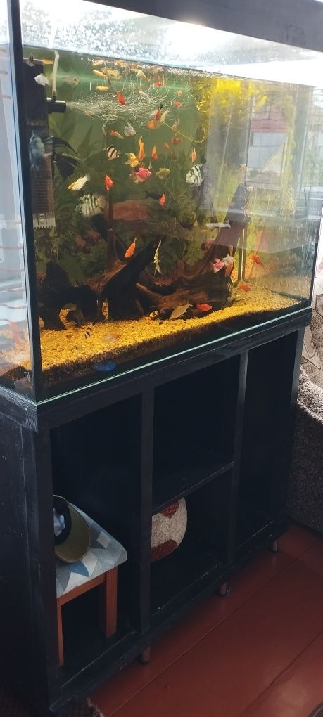 Продам Акваріум 350л