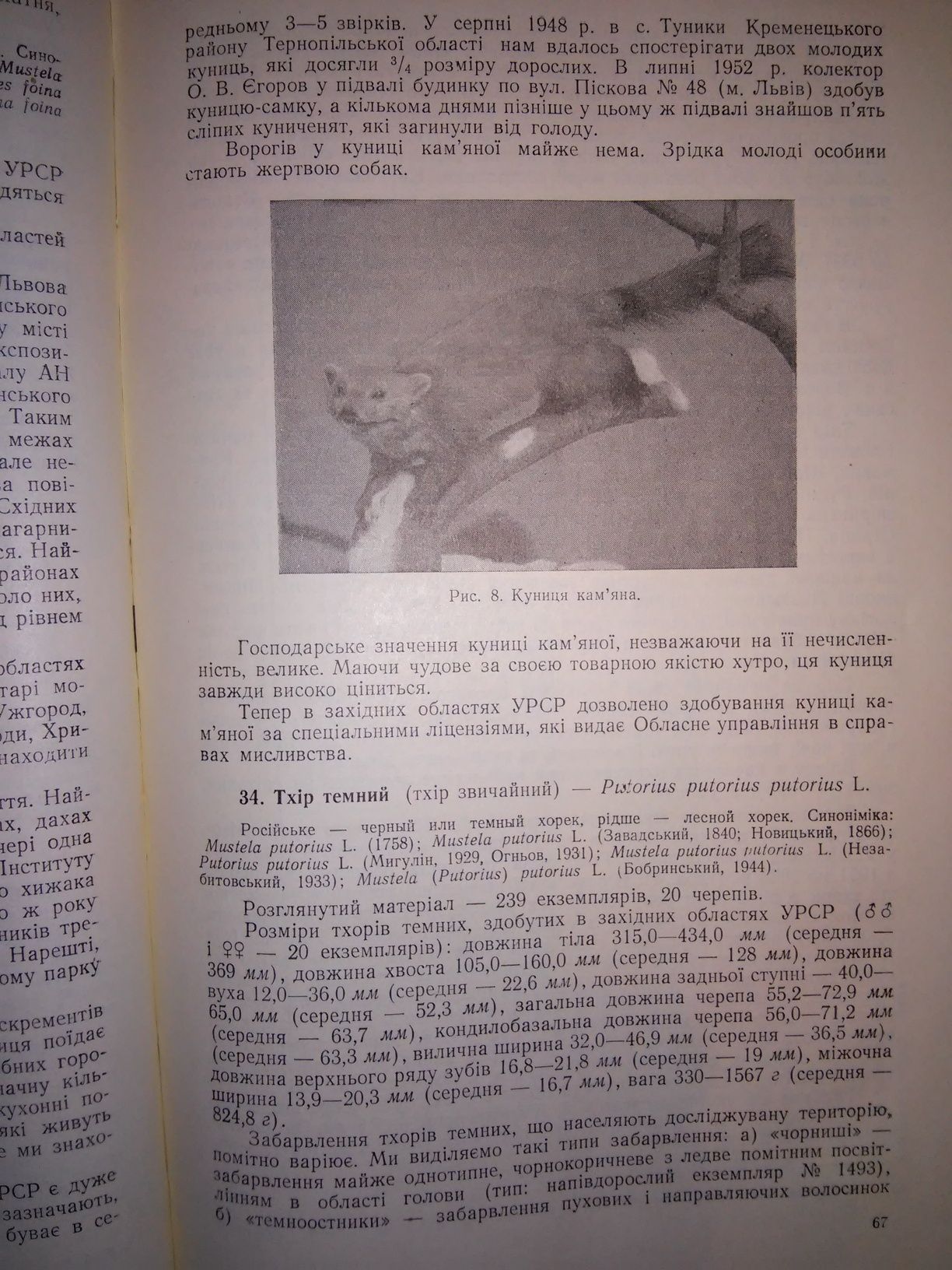 Татаринов Звірі західних областей України 1956 р. Автограф Татаринова