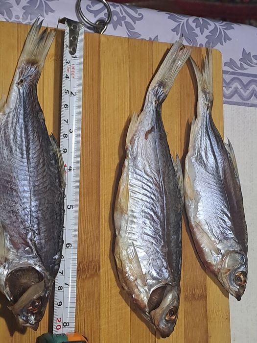 Продам тарань,  плотва  чищена