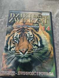 Film na DVD Dziki świat zwierząt