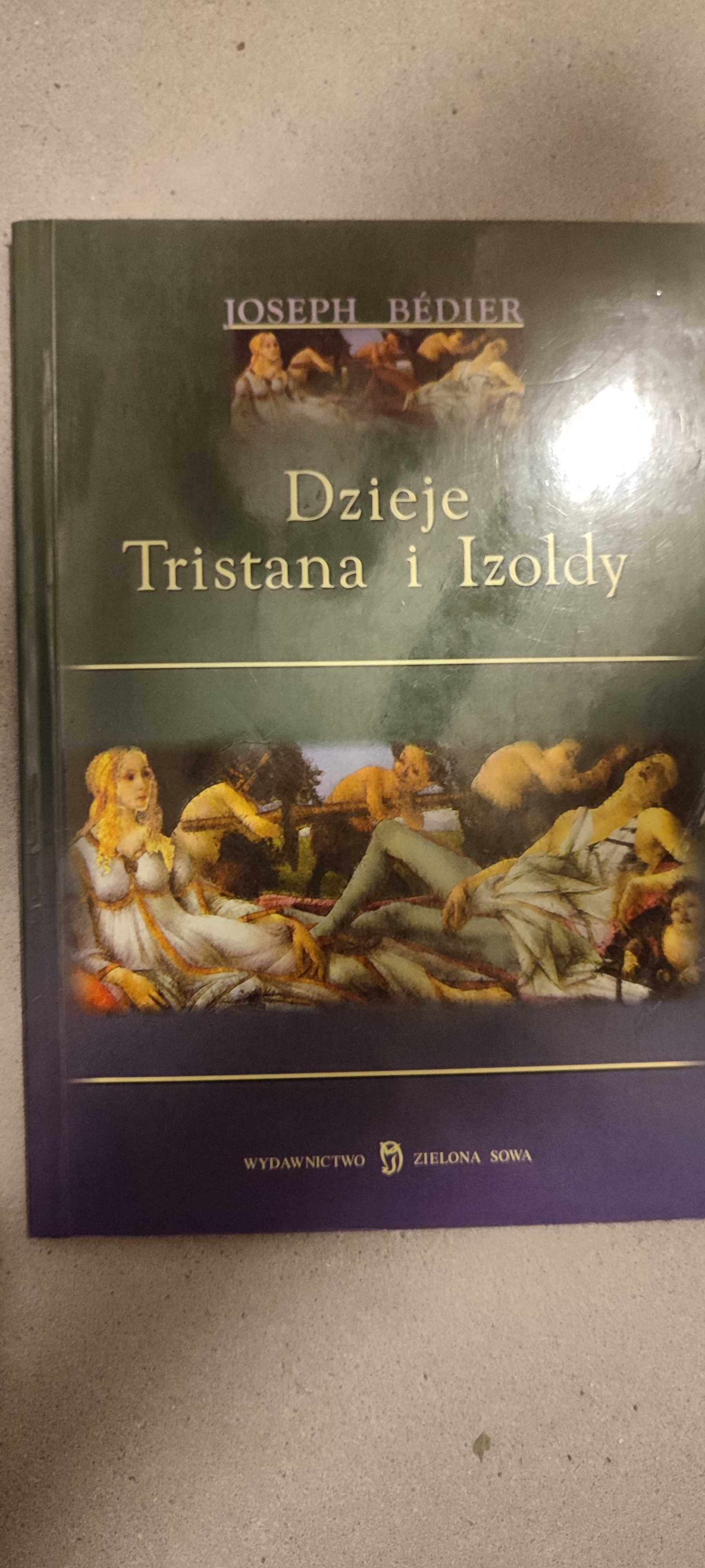 Dzieje Tristan i izoldy