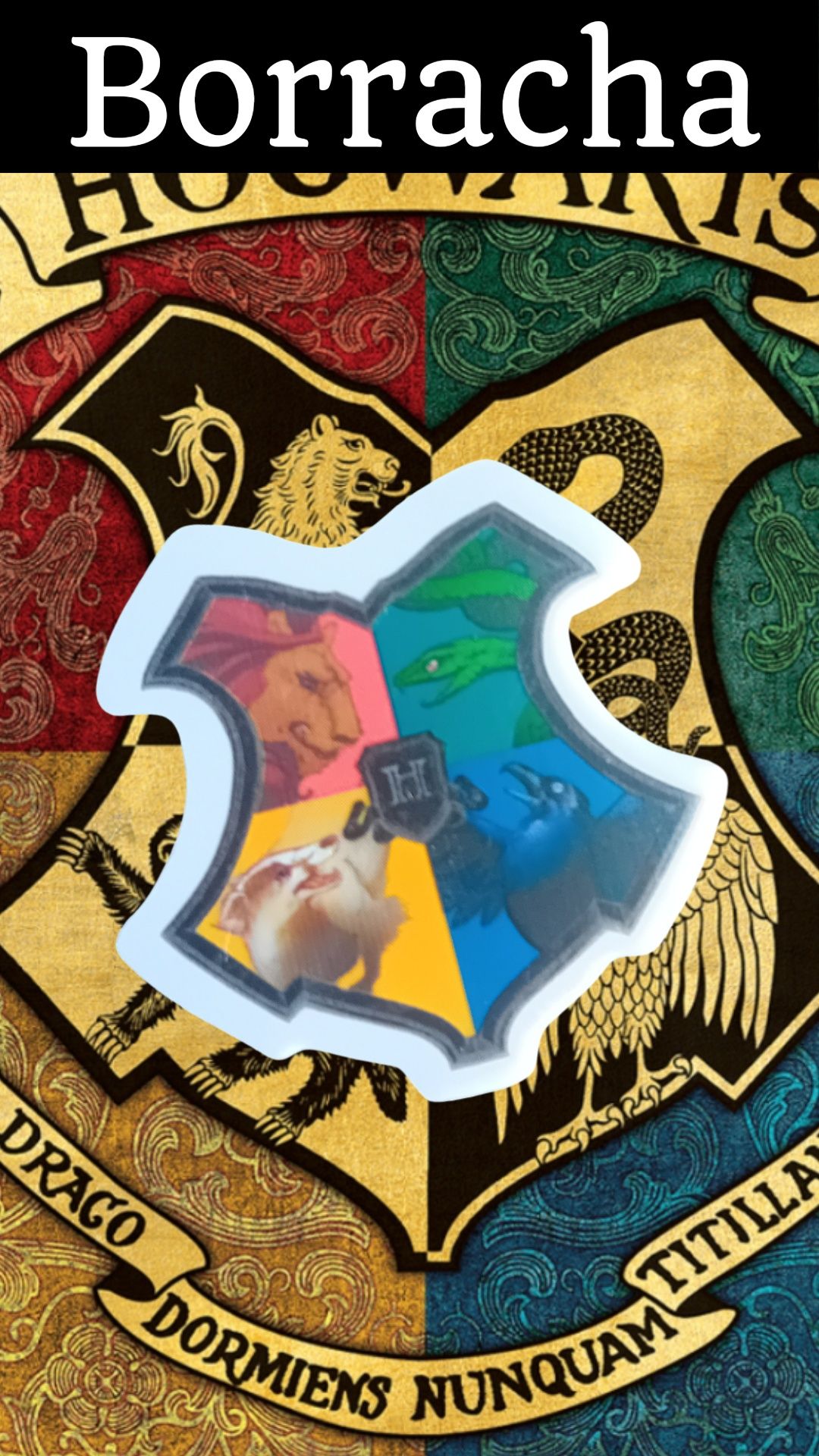 Estojo Harry Potter