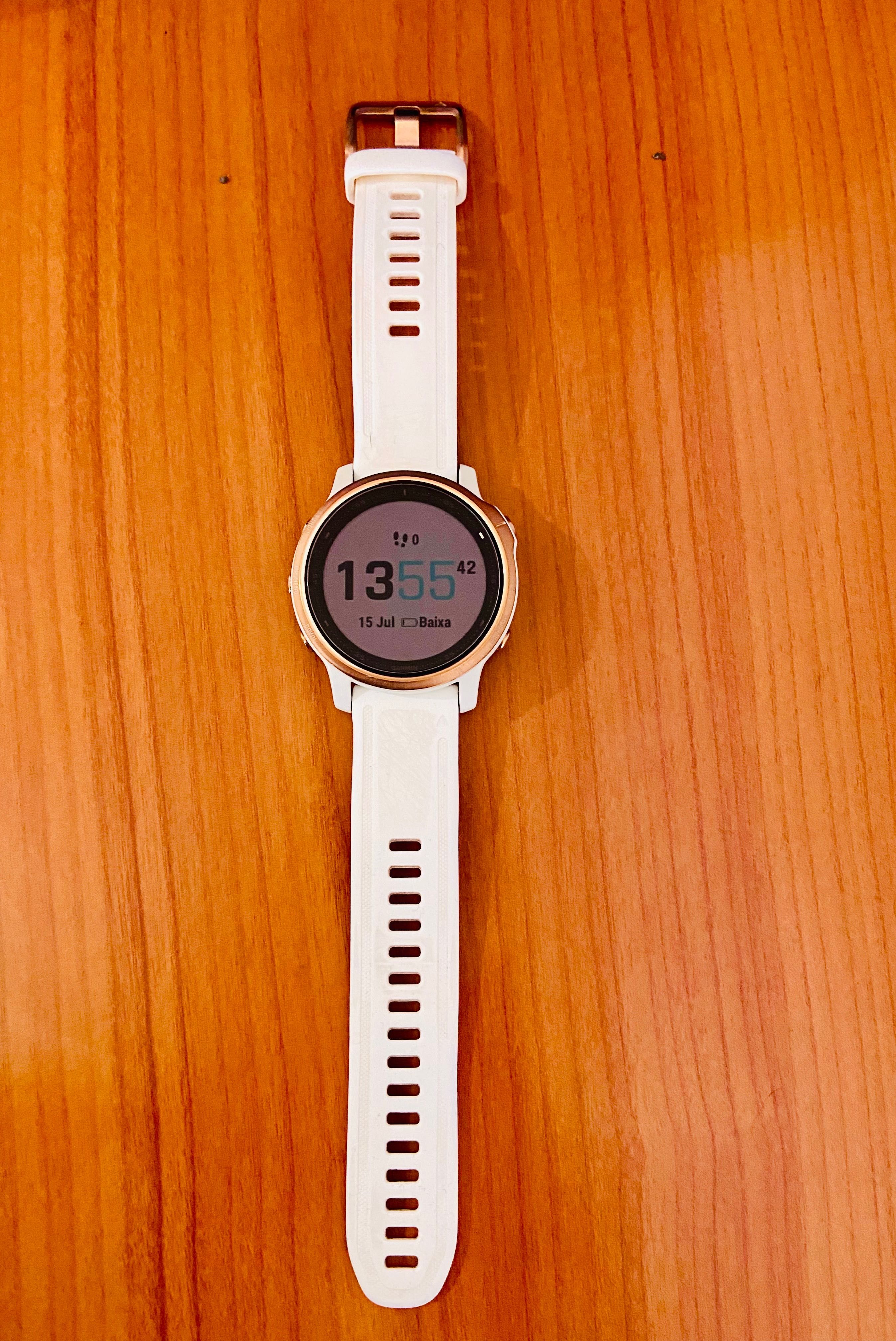 Garmin Fénix 6S pro