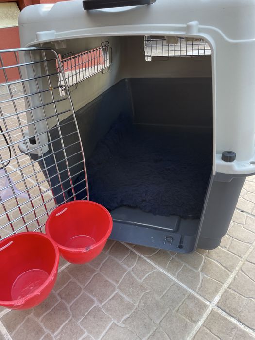 Caixa de transporte de caēs de grande porte