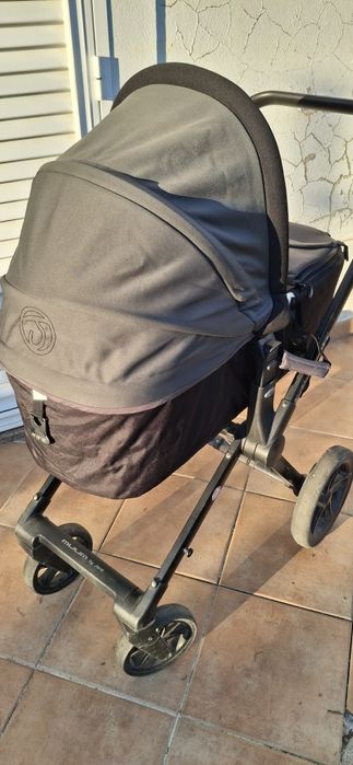 Carrinho de bebe com ovo