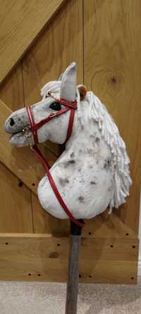Piękny Hobby Horse tarantowaty z ogłowiem