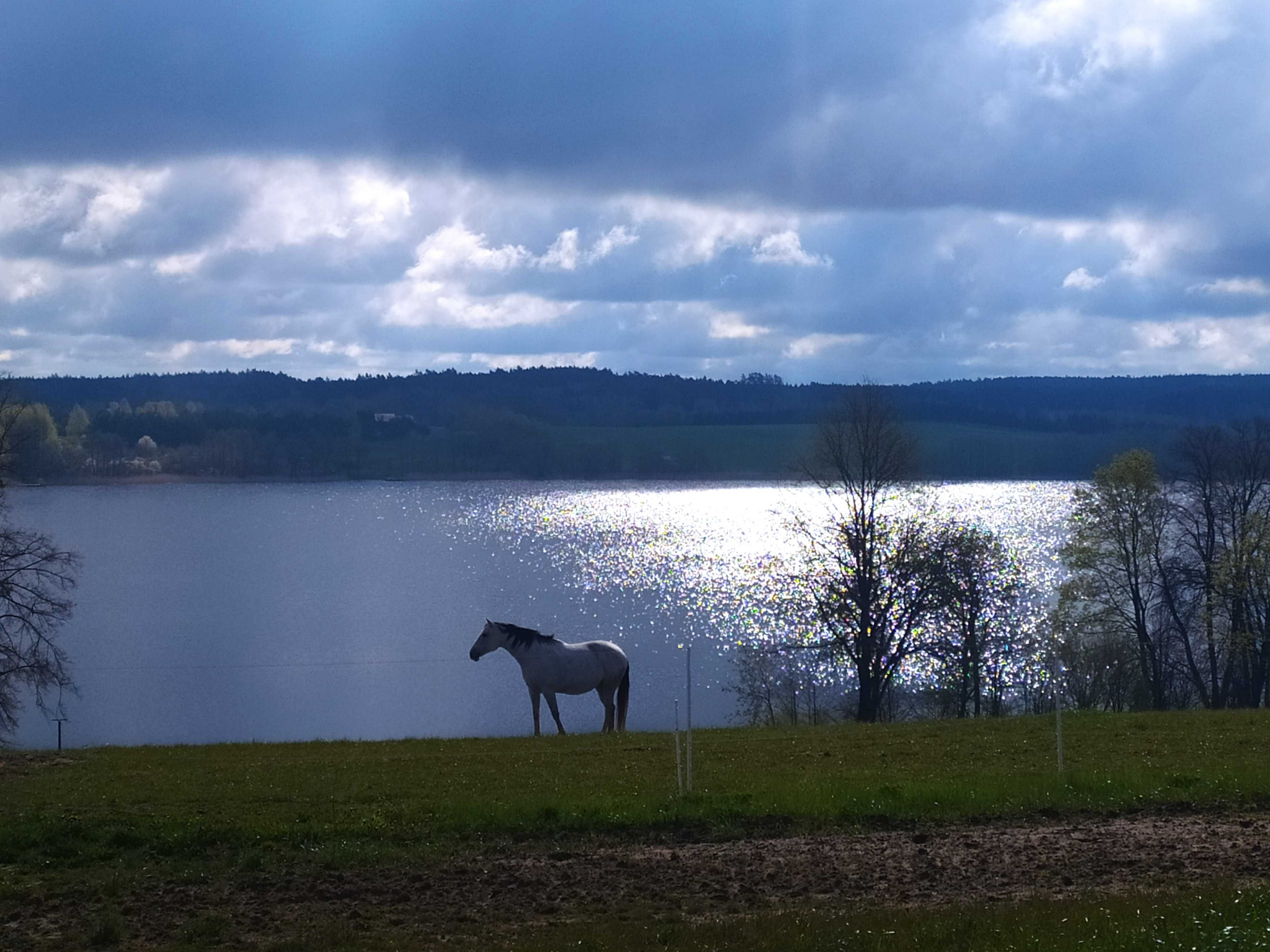 Pokoje gościnne, jazda konna Mazury Końskie Wzgórze