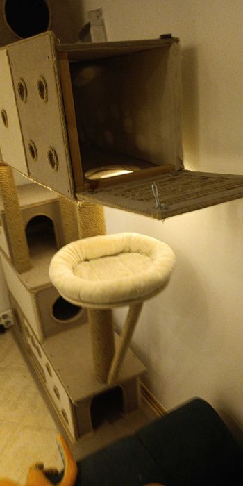 Duży Domek Drapak Dla Kotów