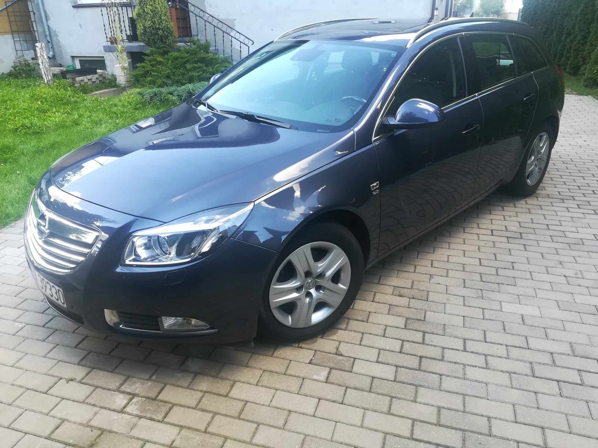 Opel Insignia. Panorama, hak