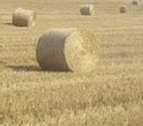 Słoma w kostkach i baloty ze slomy