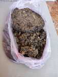Прополіс (продам)