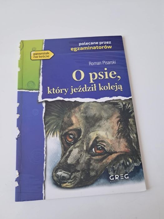 O psie, który jeździł koleją