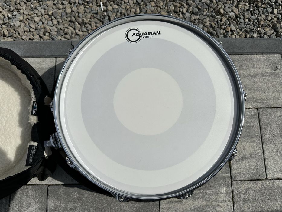 Werbel Dw Collectors Maple 14”x6”