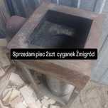 Sprzedam piec cyganek koza Żmigród